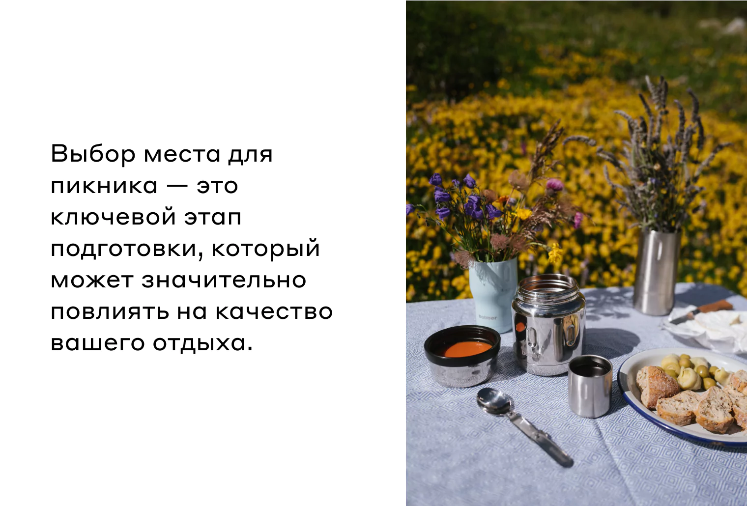 что взять на пикник