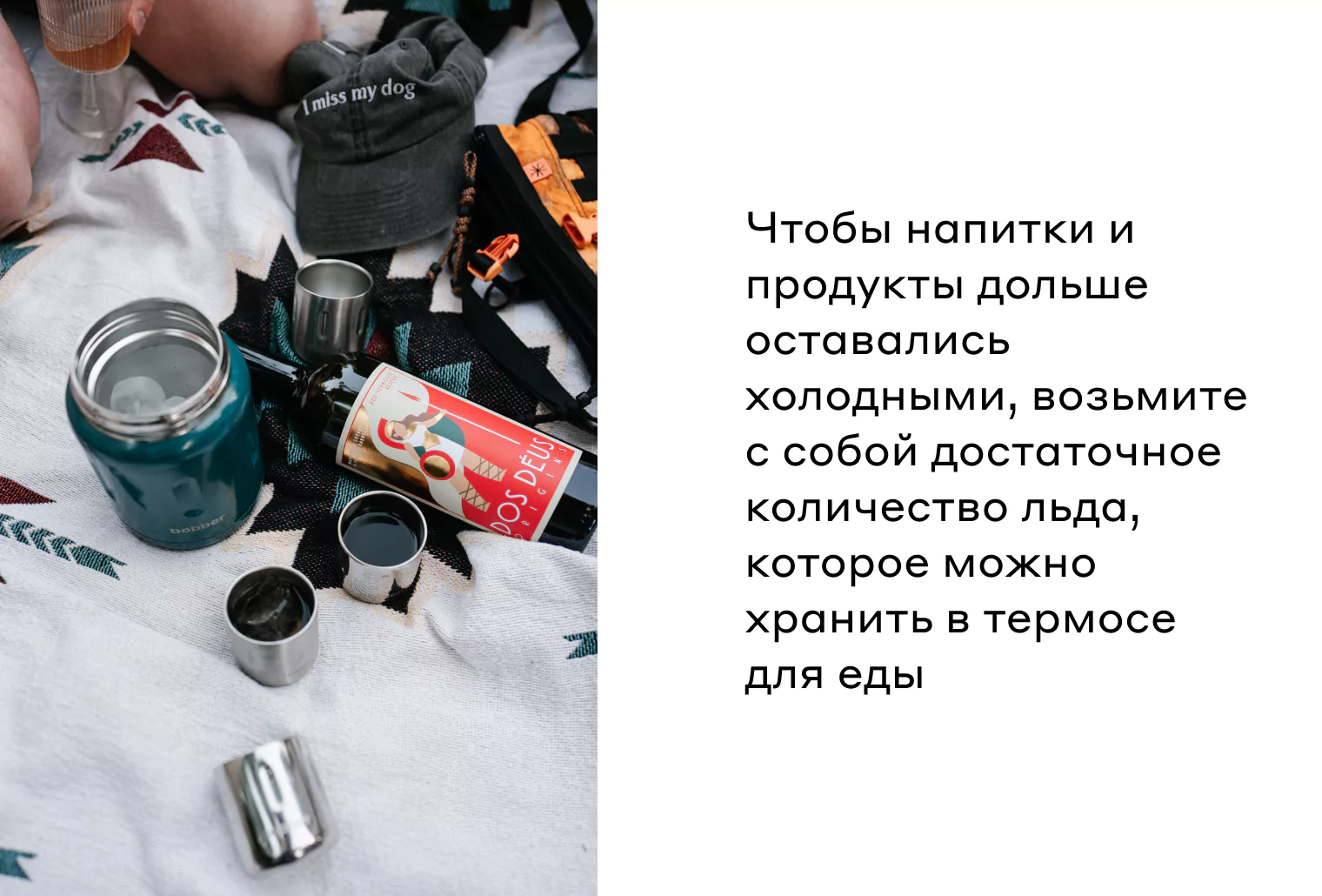 что взять на пикник список